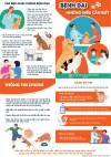 các biện pháp phòng bệnh dại
