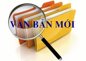 Văn bản mới